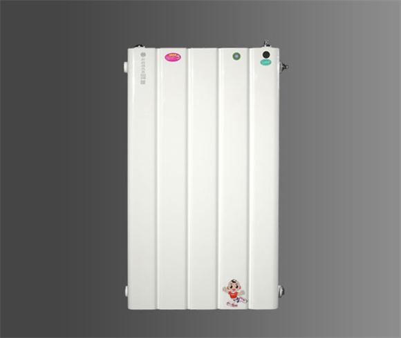 儲水式換熱器(立式)45L/55L