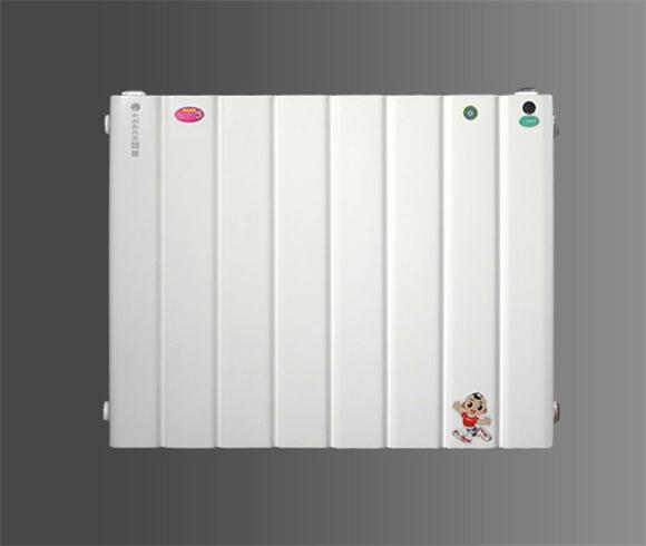 儲水式換熱器(橫式)45L/55L